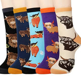 Got Highland Cows?