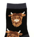 Got Highland Cows?