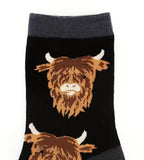 Got Highland Cows?